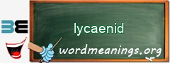 WordMeaning blackboard for lycaenid